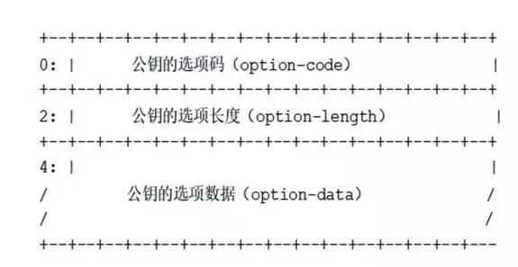 基于隐私保护技术的DNS通信协议介绍