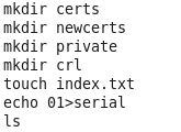 https OpenSSL如何生成root CA及签发证书