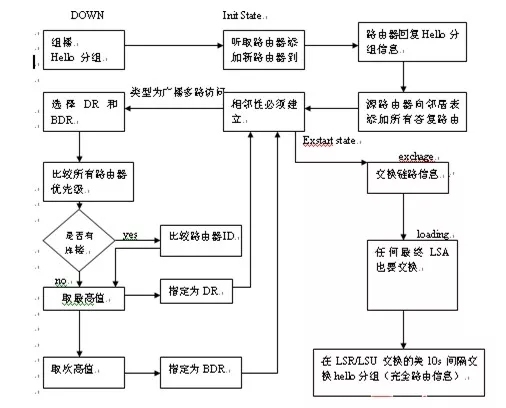 怎么深入理解OSPF协议