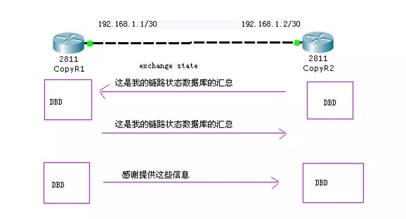 怎么深入理解OSPF协议