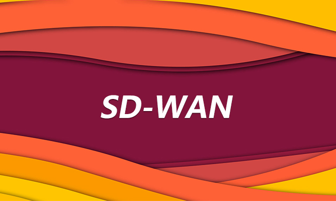 一份针对160家企业公司采用SD-WAN调查报告
