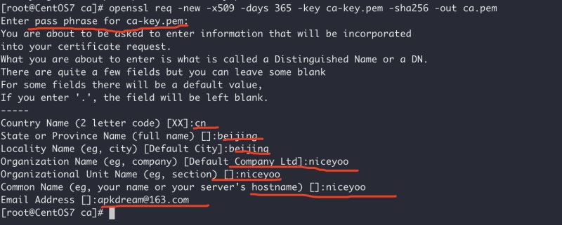 Docker开启远程安全访问的图文教程详解