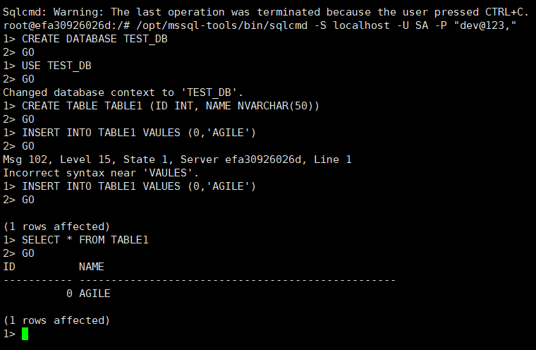 如何使用Docker运行SQL Server