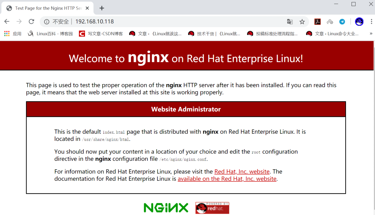 RHEL8怎么搭建Nginx Web服务