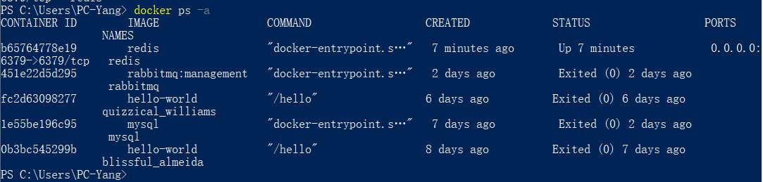 Docker新手初探之常用命令实践记录