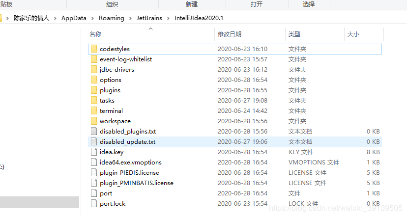 win10 下 idea2020安装 JetBrains-agent.jar 包后闪退的问题及解决办法