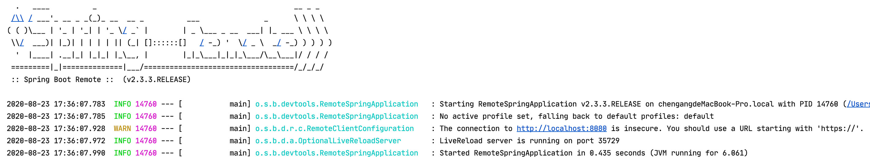 使用Spring Boot DevTools实现优化开发过程