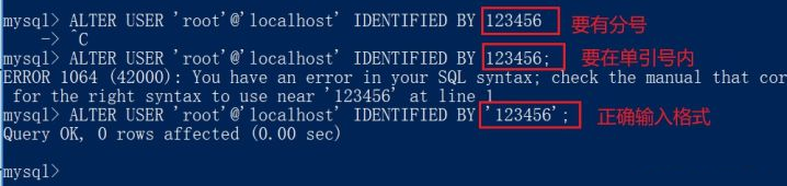 MySQL下载安装的操作步骤