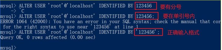 MySQL下载安装的操作步骤