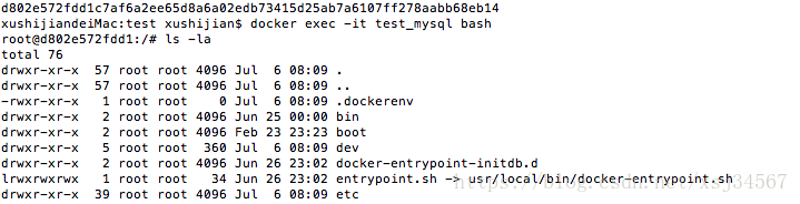 使用Docker 部署 Mysql8.0的步骤