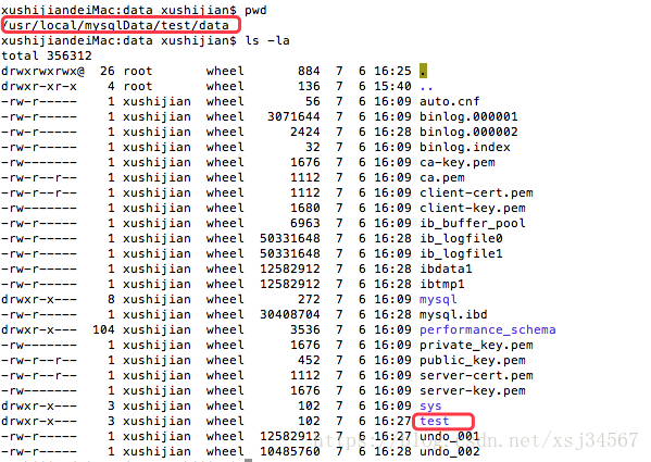 使用Docker 部署 Mysql8.0的步骤