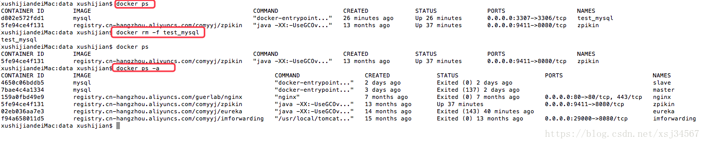 使用Docker 部署 Mysql8.0的步骤