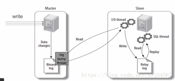 使用Docker 部署 Mysql8.0的步骤