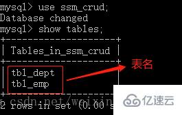 cmd 查看mysql的方法