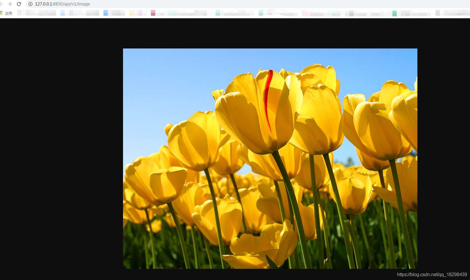 在SpringBoot中使用@ResponseBody实现返回图片功能