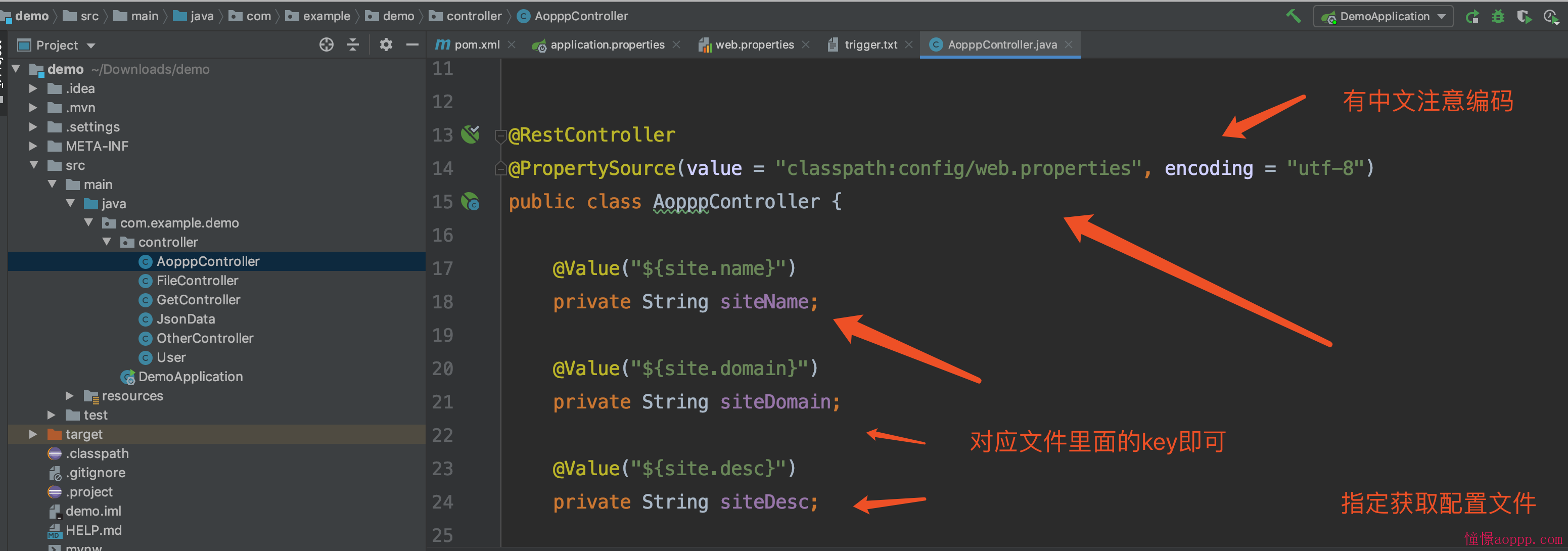 配置文件如何利用SpringBoot 进行编写