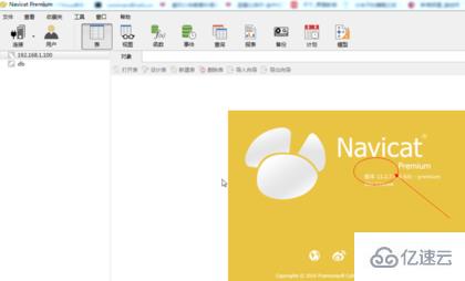 navicat如何看版本