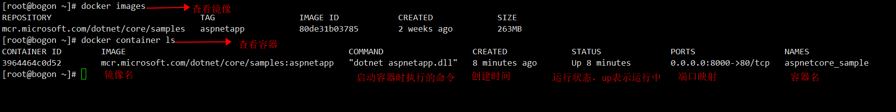 怎么在docker中部署Asp.net core应用