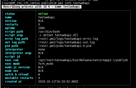 使用pm2守護(hù).NET Core應(yīng)用程序的案例