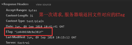 .Net Core中间件之静态文件