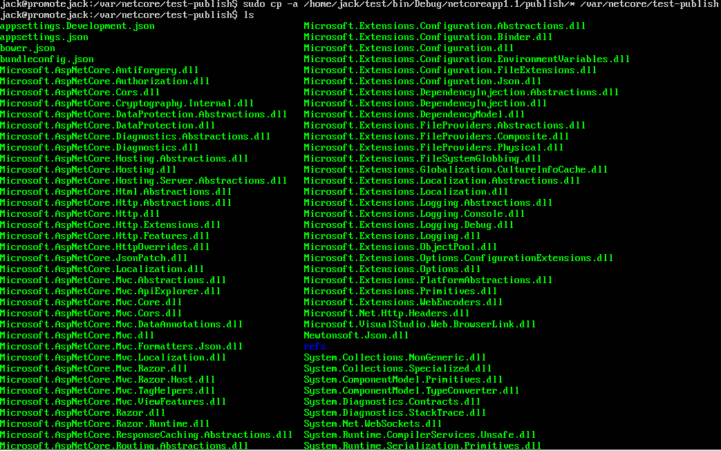 ASP.NET Core部署项目到Ubuntu Server的示例分析