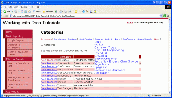 在ASP.NET 2.0中如何创建一个自定义的Database