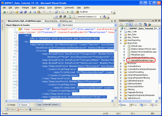 ASP.NET 2.0中怎么编辑二进制数据