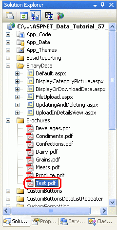 ASP.NET 2.0中怎么编辑二进制数据