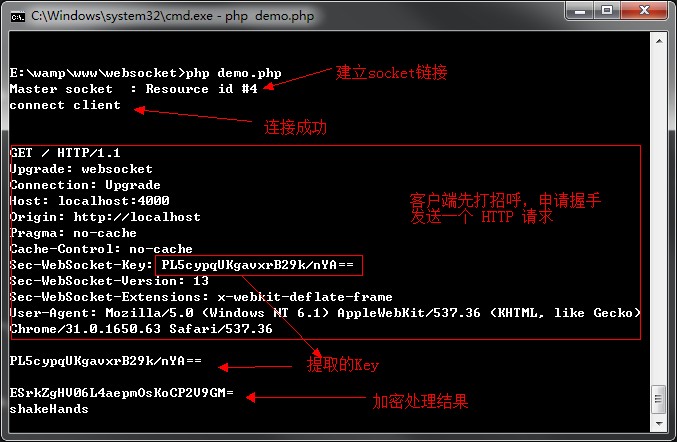 如何在php项目中使用websocket