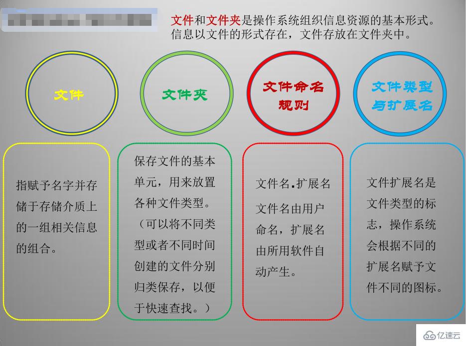 计算机中操作系统组织信息资源的基本形式有哪些