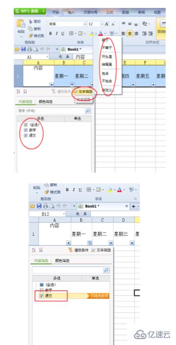 wps如何筛选内容