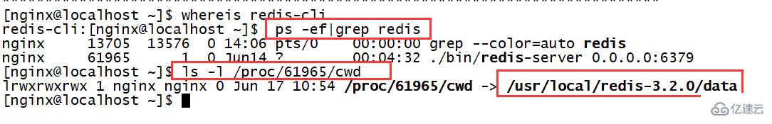 linux下如何查看redis的安装目录