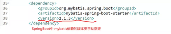 使用SpringBoot对mybatis进行整合需要注意哪些问题