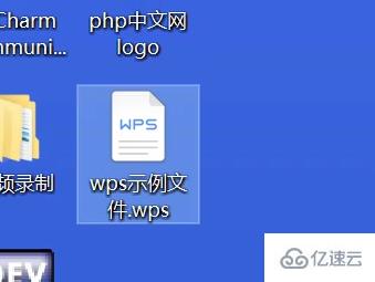 wps指的是什么格式