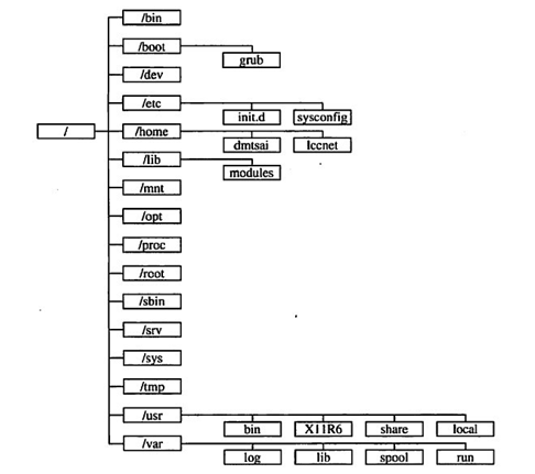 Linux的目录结构有哪些