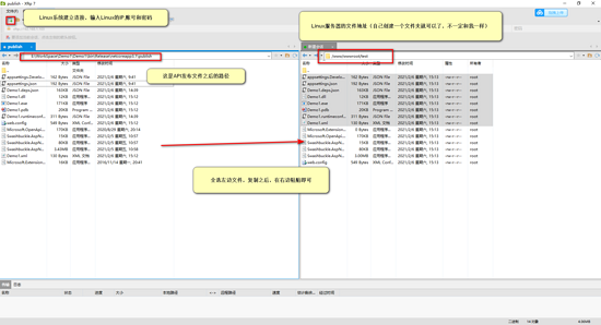 如何在Linux中部署一个.net core Api项目