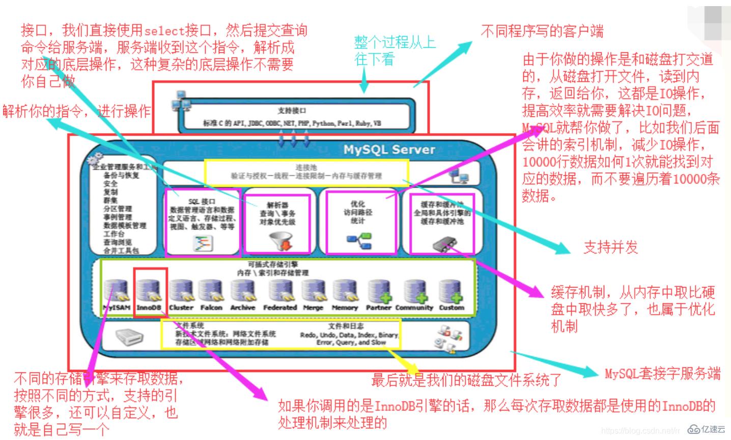 详细分析MySQL数据库的基础用法