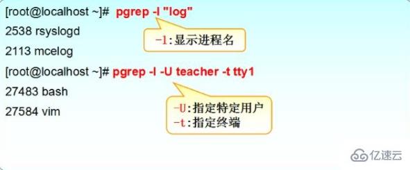 linux查看进程的示例方法