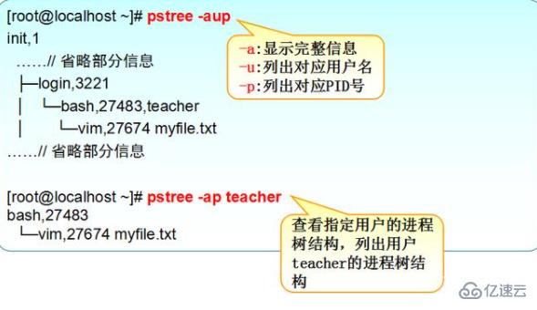 linux查看進程的示例方法