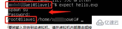 linux如何自动化交互脚本expect