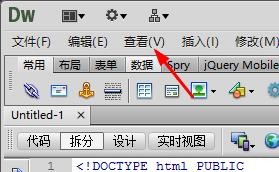 怎么在Dreamweaver cs5中使用實(shí)時(shí)視圖