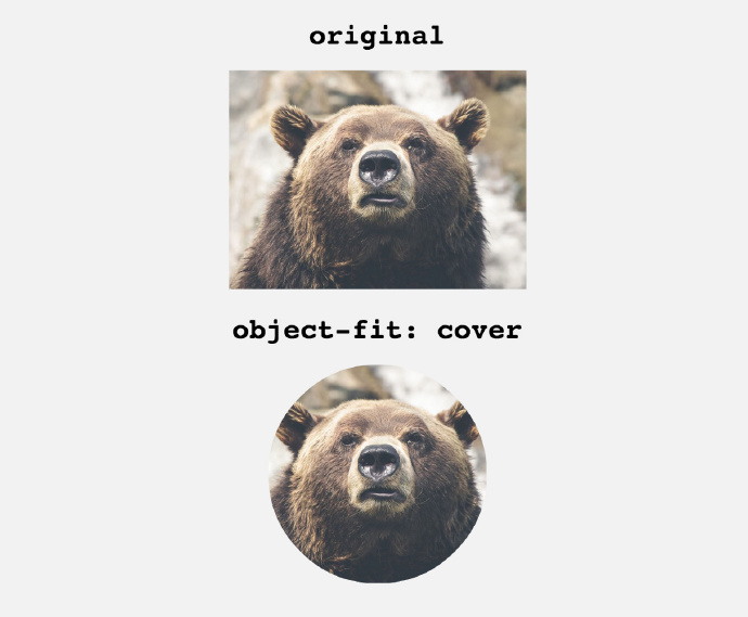 如何通过CSS3的object-fit来调整图片适配尺寸