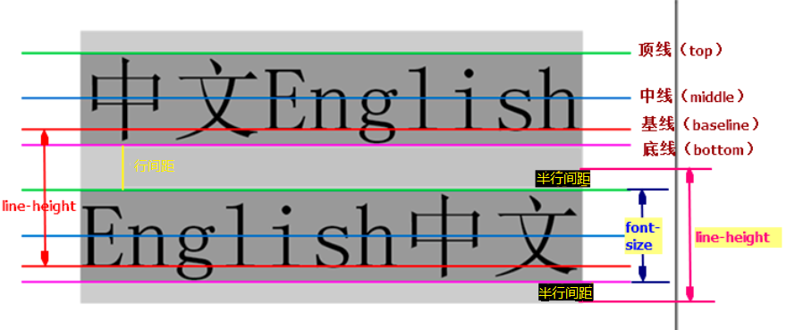 CSS中line-height和height有什么用
