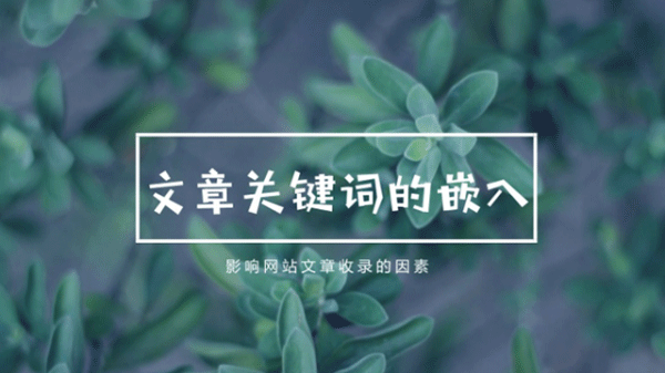 计算机网络中网站需要有规律性更新高质量文章的原因