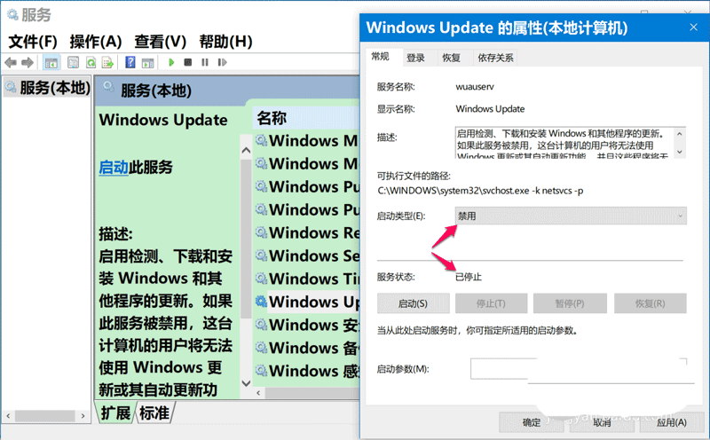 Win10 20H2预览版19042.608更新错误0x80070002的解决方法
