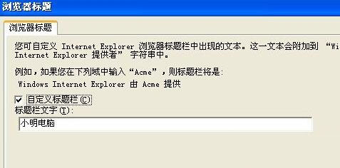 XP系统下怎么给浏览器标题添加文字