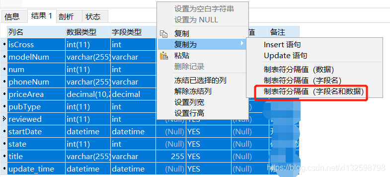 怎么利用Navicat Premium导出数据库表结构信息至Excel的方法