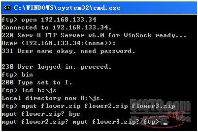 如何使用Bat脚本处理ftp