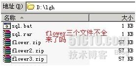 如何使用Bat腳本處理ftp