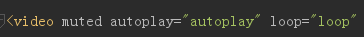 video下autoplay属性无效怎么办